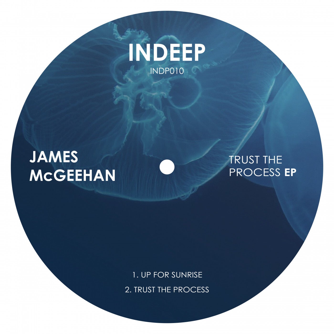 James McGeehan – Trust The Process [INDP011]